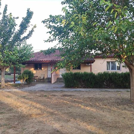 Romvi Village Amaliada Kültér fotó