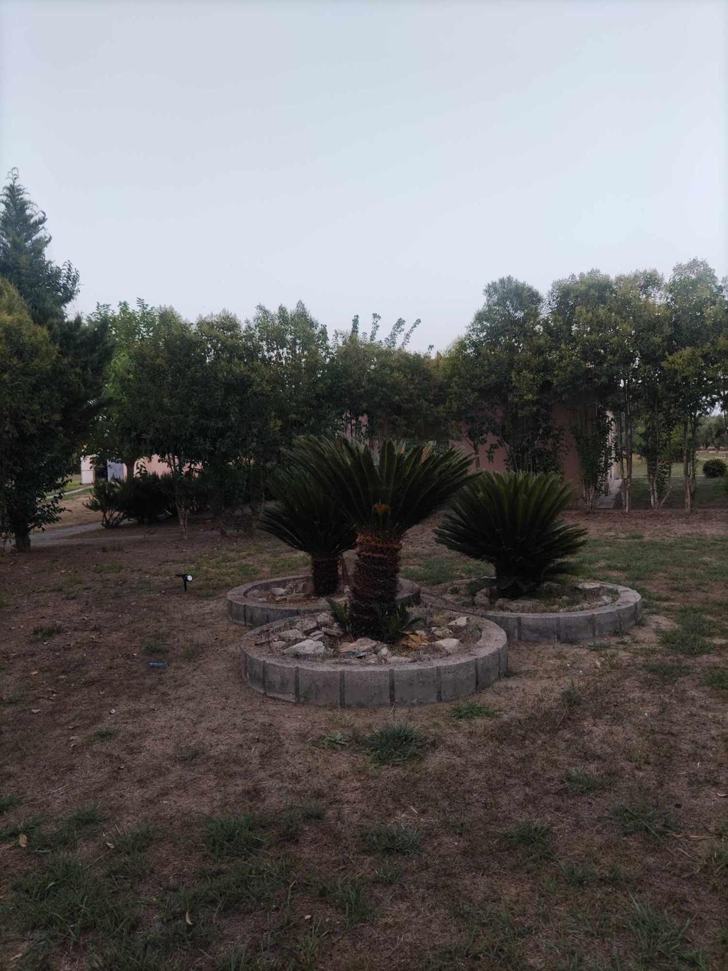 Romvi Village Amaliada Kültér fotó
