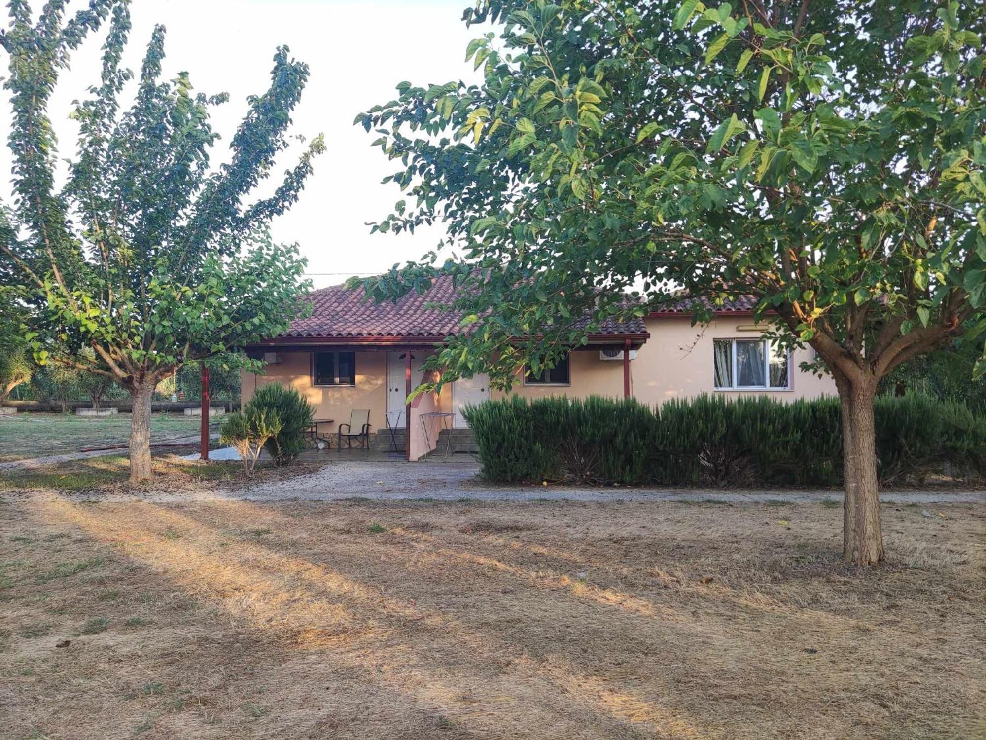 Romvi Village Amaliada Kültér fotó